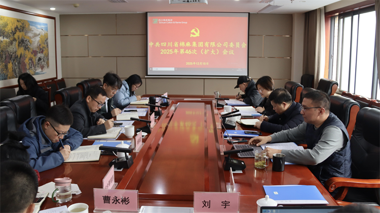 集團(tuán)公司召開2025年第46次黨委（擴(kuò)大）會(huì)議